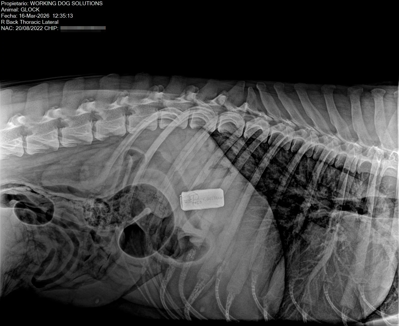 Glock · Photo 11
