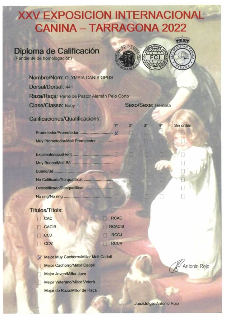 Nuca — exposición · Working Dog Solutions