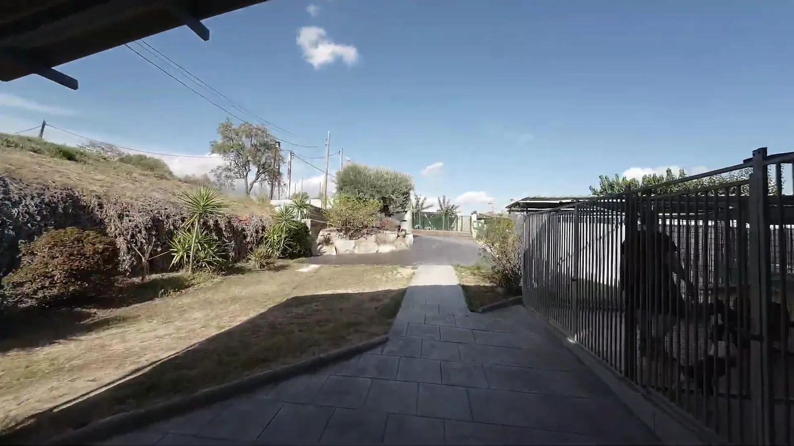 Instalaciones reales de Working Dog Solutions
