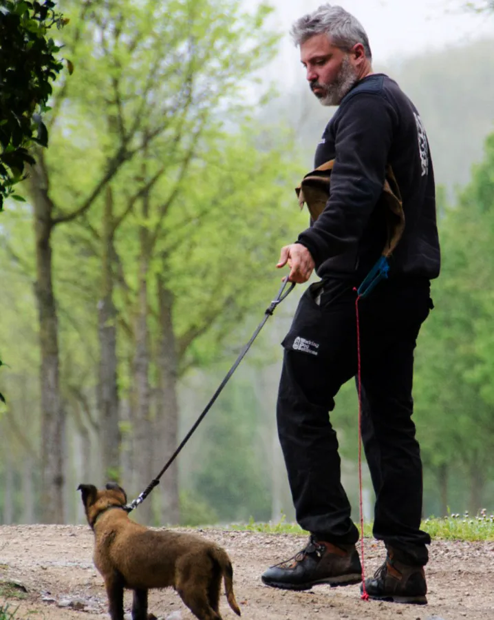 Séance réelle d’éducation canine chez Working Dog Solutions