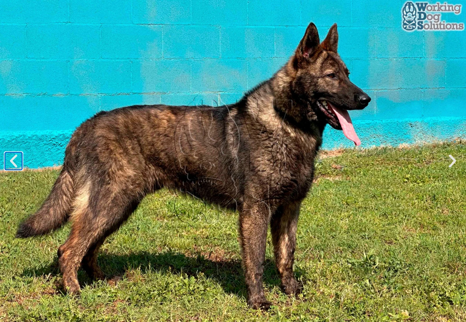 JUNO, photograph 2