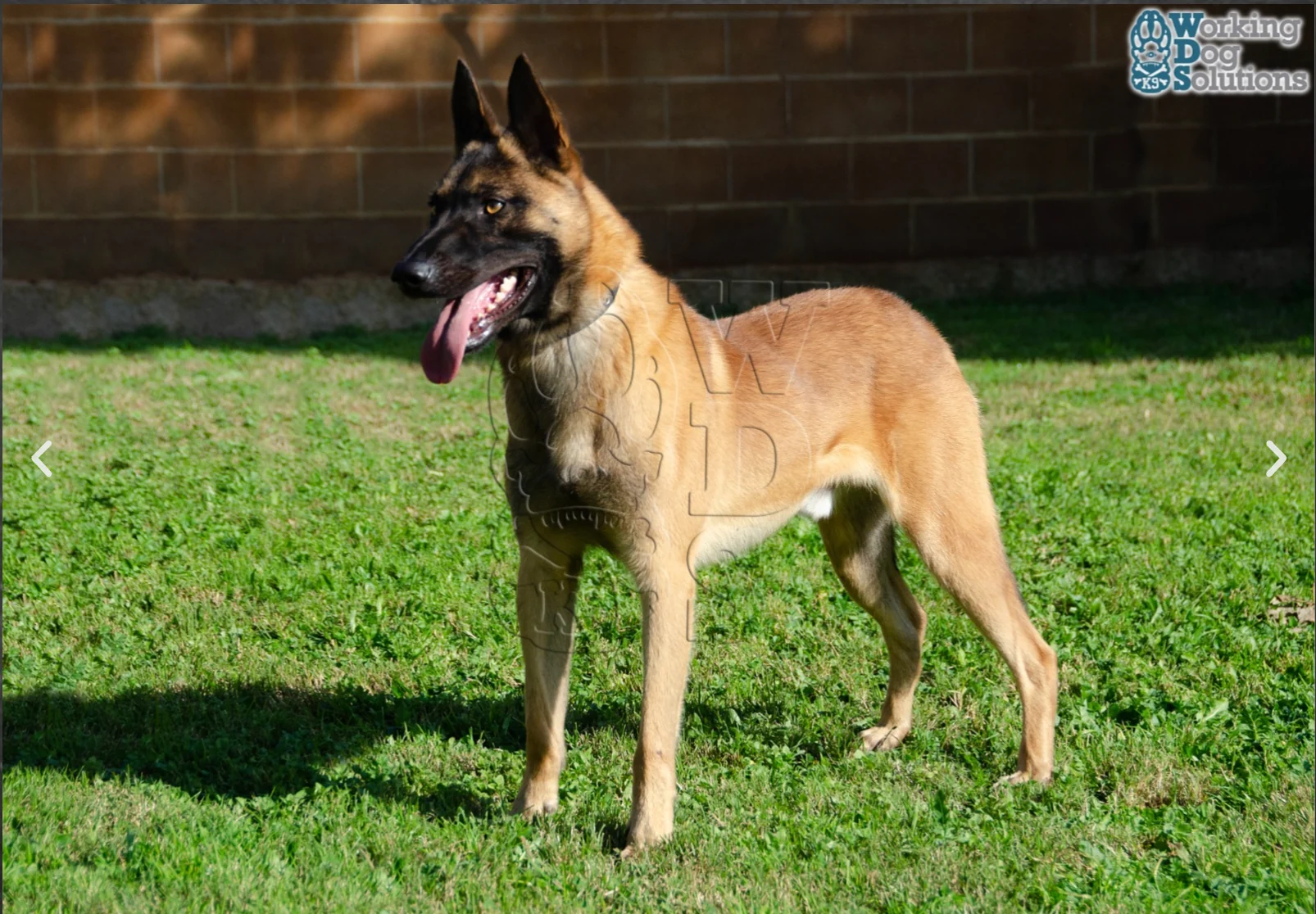 MAX, photograph 2