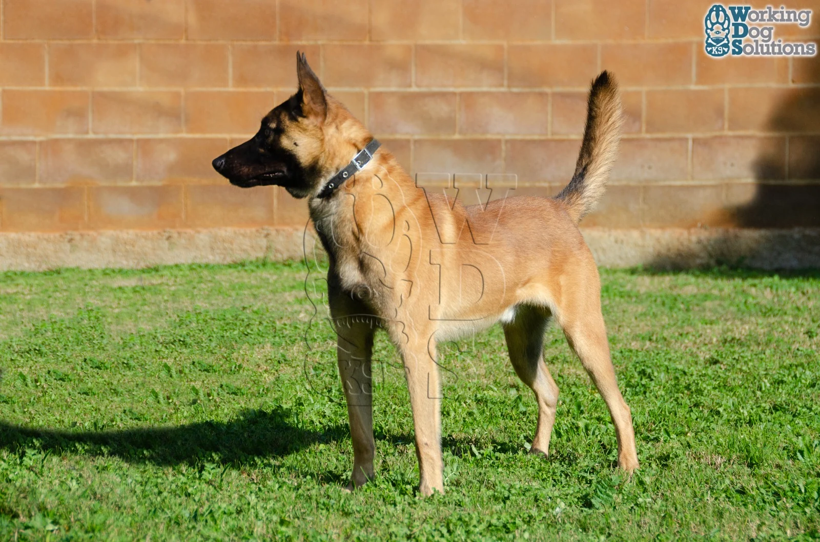 MAX, photograph 4