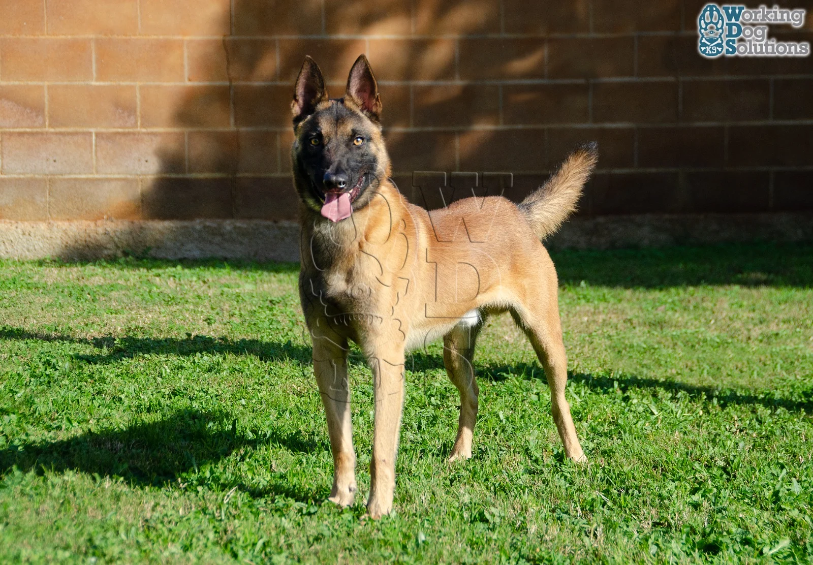 MAX, photograph 5