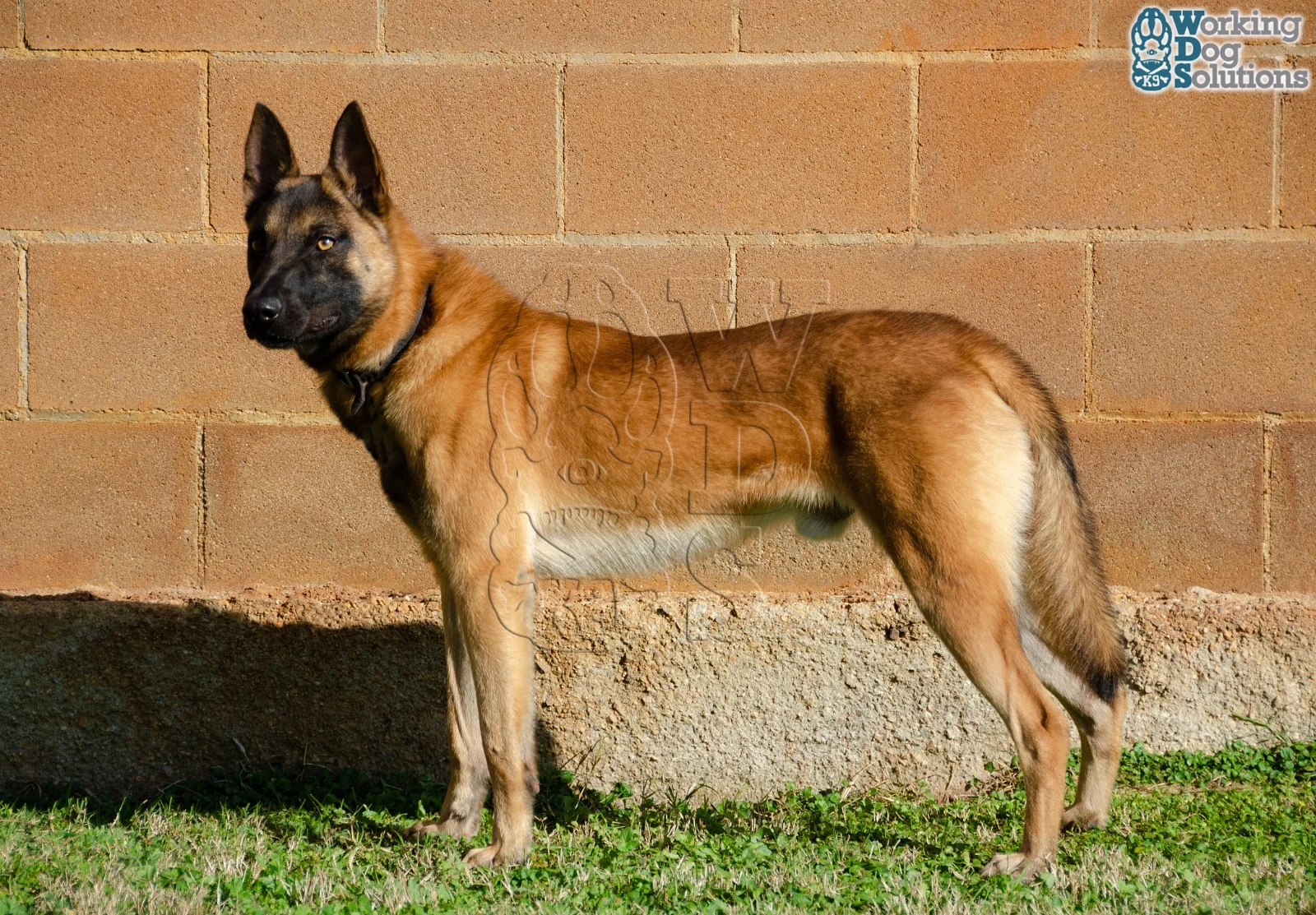 MAX, photograph 7